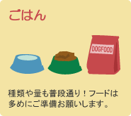 【ごはん】種類や量も普段通り！フードは多めにご準備お願いします。