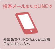【携帯メールまたはLINEで】外出先でペットのちょっとした様子を知りたい方へ