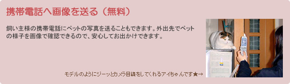 【携帯電話へ画像を送る（無料）】飼い主様の携帯電話にペットの写真を送ることもできます。外出先でペットの様子を画像で確認できるので、安心してお出かけできます。
