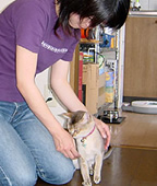 お世話をしたお友達